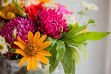 bouquet with vivid autunm flowers. flowers background