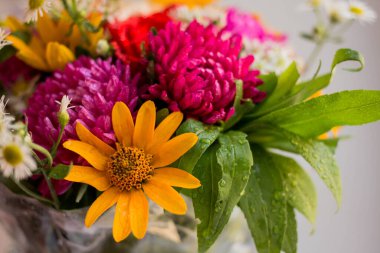 bouquet with vivid autunm flowers. flowers background