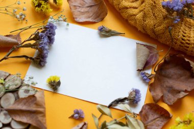 card with dry flowers and leaves.tea and pen