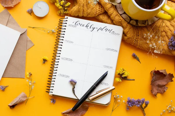 notebook with dry flowers and leaves. planner with tea and pen