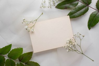mockup card with plants. invitation card with environment Mockup with postcard card mockup with white flowers and envelope. wedding invitation 