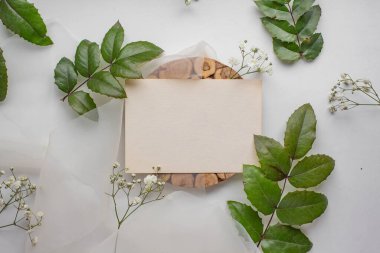 mockup card with plants. invitation card with environment Mockup with postcard card mockup with white flowers and envelope. wedding invitation 