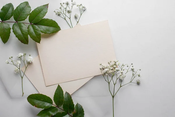 Mockup Card Plants Invitation Card Environment Mockup Postcard Card Mockup — стоковое фото