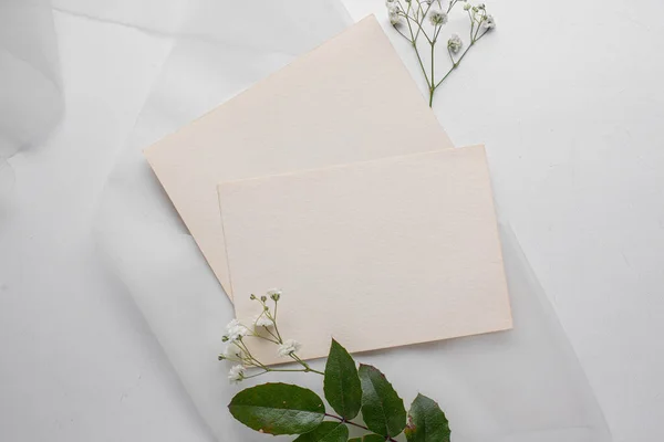 Mockup Card Plants Invitation Card Environment Mockup Postcard Card Mockup — Foto de Stock