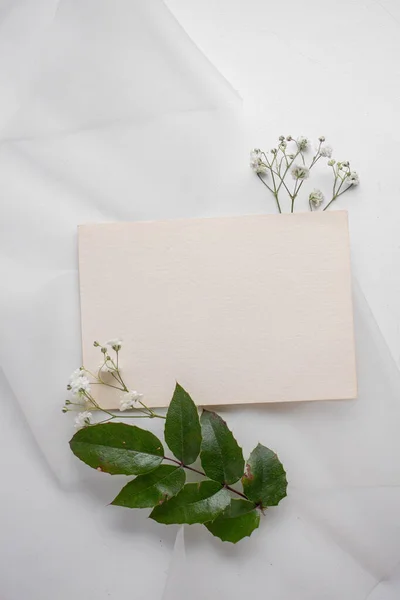 Mockup Card Plants Invitation Card Environment Mockup Postcard Card Mockup — Stockfoto