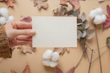 card mockup with cotton flowers, eucaliptus, dry leaves, reeds. autumn mood, fall vibes