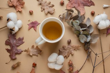 girl hands with tea cup with cotton flowers, eucaliptus, dry leaves, reeds. autumn mood, fall vibes