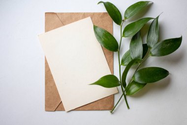 Bitkilerle maket kartı. Ortam ve ayrıntıları içeren davet kartı beyaz arkaplanda kartpostal ve çiçeklerle düzenlenir.