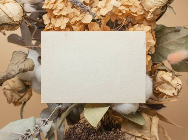 Card Mockup Cotton Flowers Eucaliptus Dry Leaves Reeds Autumn Mood — Stok fotoğraf