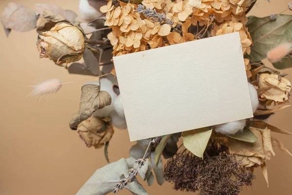 Card Mockup Cotton Flowers Eucaliptus Dry Leaves Reeds Autumn Mood — Stok fotoğraf