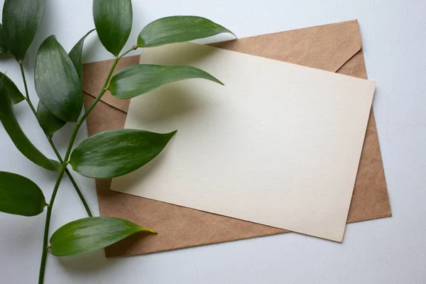 Mockup Card Plants Invitation Card Environment Details Mockup Postcard Flowers — Stock Photo, Image