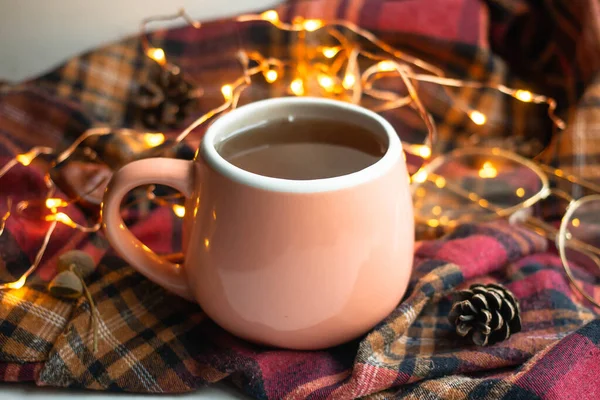 Cup Morning Tea Coockies Chocolate Lights Glasses — стоковое фото