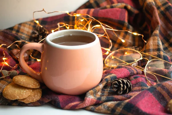 Cup Morning Tea Coockies Chocolate Lights Glasses — Stock Photo, Image