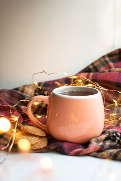 Cup Morning Tea Coockies Chocolate Lights Glasses — Zdjęcie stockowe