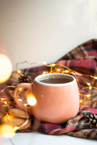 Cup Morning Tea Coockies Chocolate Lights Glasses — стоковое фото