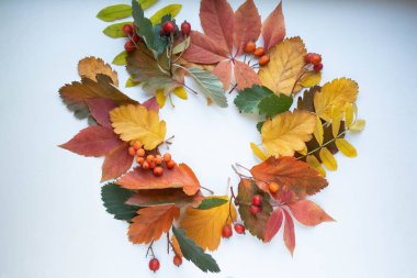 renkli sonbahar yaprak çerçeve