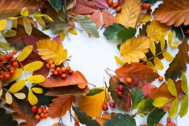 renkli sonbahar yaprak çerçeve