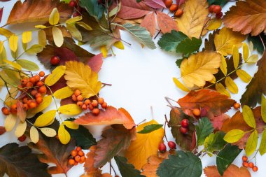 renkli sonbahar yaprak çerçeve