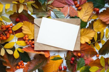 Sonbahar modelleme kartı sonbahar davetiye kartı ortam ve ayrıntılar ile bırakır. Kartpostal, çiçek ve kurdele ile beyaz arkaplan.