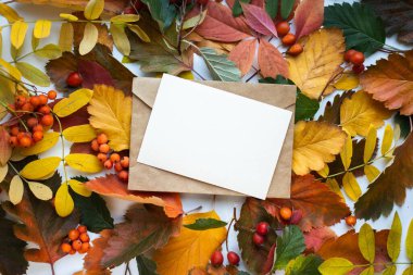 Sonbahar modelleme kartı sonbahar davetiye kartı ortam ve ayrıntılar ile bırakır. Kartpostal, çiçek ve kurdele ile beyaz arkaplan.