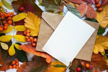 Sonbahar modelleme kartı sonbahar davetiye kartı ortam ve ayrıntılar ile bırakır. Kartpostal, çiçek ve kurdele ile beyaz arkaplan.