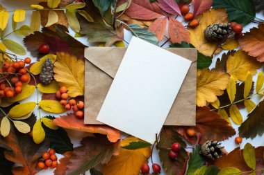 Sonbahar modelleme kartı sonbahar davetiye kartı ortam ve ayrıntılar ile bırakır. Kartpostal, çiçek ve kurdele ile beyaz arkaplan.