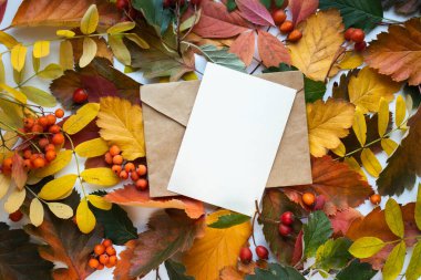 Sonbahar modelleme kartı sonbahar davetiye kartı ortam ve ayrıntılar ile bırakır. Kartpostal, çiçek ve kurdele ile beyaz arkaplan.