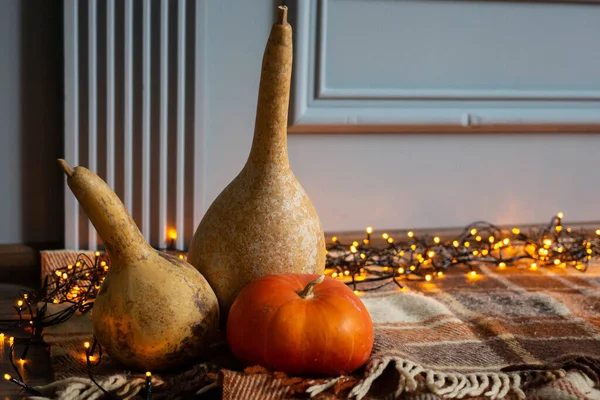 autumn background with three pumpkins on a plaid with garland. Halloween Mood.fall atmocphere