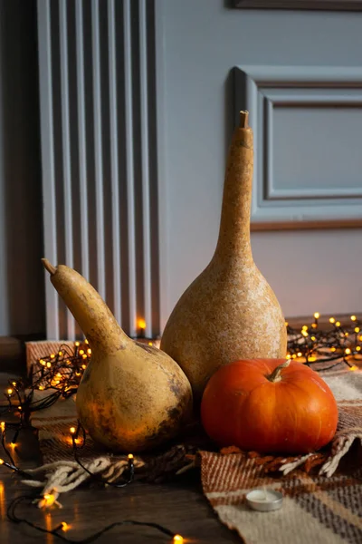 autumn background with three pumpkins on a plaid with garland. Halloween Mood.fall atmocphere