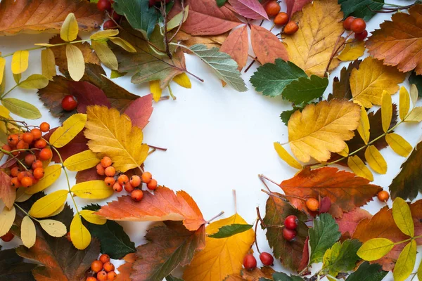 renkli sonbahar yaprak çerçeve