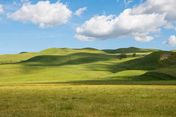 Beautiful Green Grassy Hills Dotted Contrasting Light Shadow Fluffy White —  Fotos de Stock