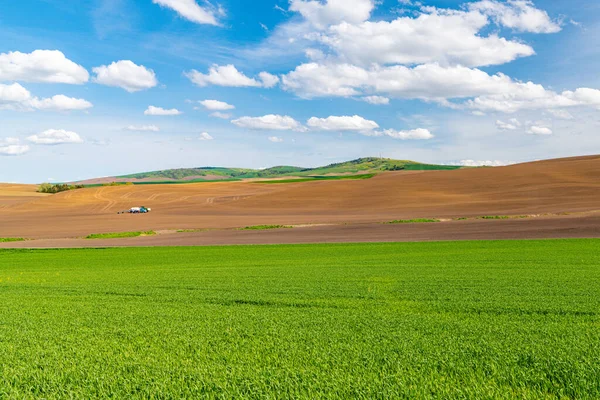 Green Field Wheat Contrasted Brown Field Barren Earth Agricultural Machinery —  Fotos de Stock