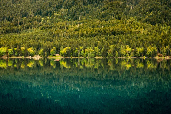 Bos Vakantiehuizen Langs Een Kustlijn Weerspiegeld Rustige Wateren Van Lake — Stockfoto