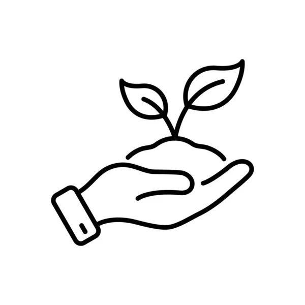 Рука Тримає Органічний Лист Піктограмі Лінії Грунту Вирощування Зелених Екологічних — стоковий вектор