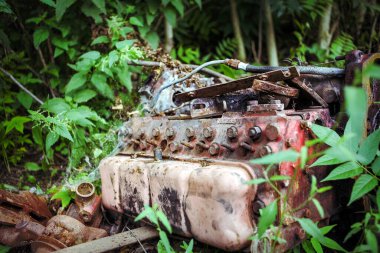 Ormanda yatan eski ve paslı bir kamyon motoru..