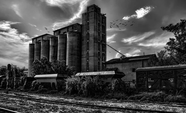 Spooky black and white photo of grain elevator and railroad with flock of black birds in the sky.