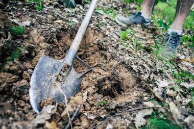 Ormanda bir adam kürekle çukur kazıyor, ağaç dikiyor ya da gömülü bir hazine arıyor..