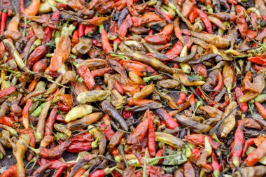 Çürük biber. Bu kırmızı biber haşereler ve hastalıklar yüzünden çürümüş.