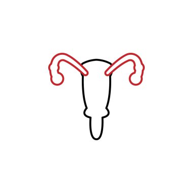 Gynecology 2 colored line icon. Simple colored element illustration. Gynecology icon design from medicine set on white background