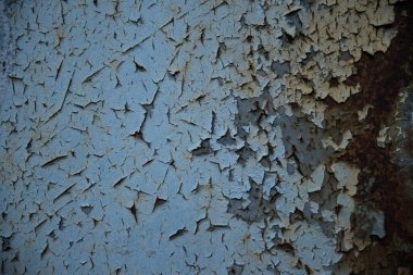 Panoramic illustration showing raised hands of men and women. Voting, freedom and diversity concept. On gray background