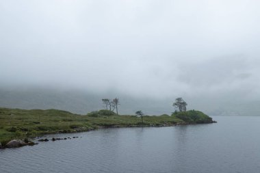 Panoramic illustration showing raised hands of men and women. Voting, freedom and diversity concept. On gray background