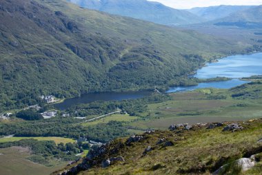 Panoramic illustration showing raised hands of men and women. Voting, freedom and diversity concept. On gray background