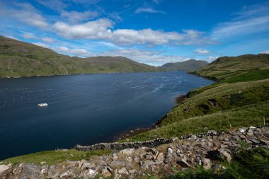 Panoramic illustration showing raised hands of men and women. Voting, freedom and diversity concept. On gray background