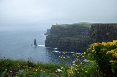 İrlanda 'daki Moher Kayalıkları' nın gri ve yağmurlu bir günde denize bakan manzarası