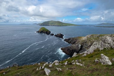 Panoramic illustration showing raised hands of men and women. Voting, freedom and diversity concept. On gray background