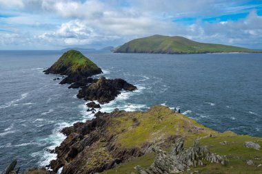 Panoramic illustration showing raised hands of men and women. Voting, freedom and diversity concept. On gray background