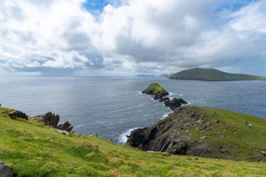 Panoramic illustration showing raised hands of men and women. Voting, freedom and diversity concept. On gray background