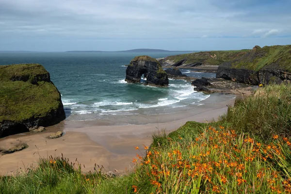 beautiful view of the beach from the Ballybunion cliffs in Ireland. blue sky and sun.
