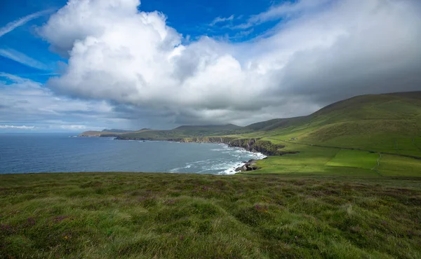 Spectacular View Showing Landscape Ireland Hills Green Meadows Sea Sunny — Stockfoto