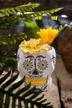 Buzlu kokteyl, kurumuş ananas ve beyaz bardakta duran bir çiçek.